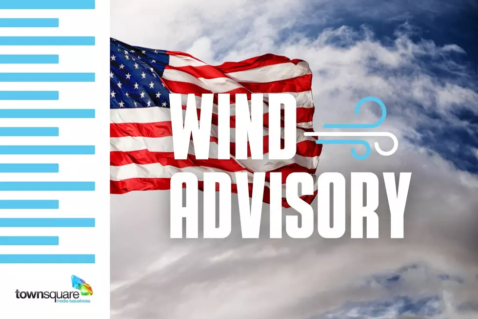 Wind Advisory Issued: Expect Wind Gusts Up to 40 MPH in Alabama