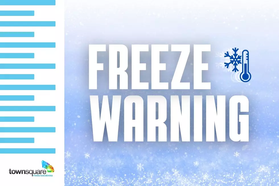 Sub-Freezing Temps Expected: Warning Issued for Areas of Alabama