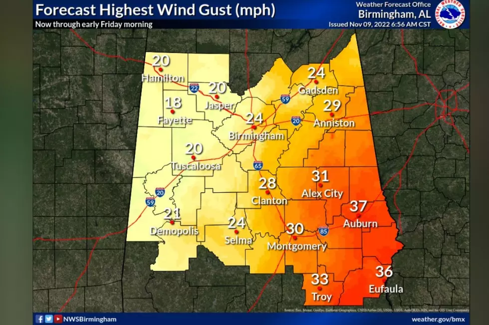 T.S. Nicole May Bring Wind Gusts, Rain into West, Central Alabama