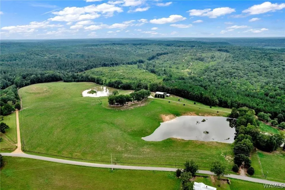 Step Inside Lamar County Alabama’s Most Expensive Property, Farm