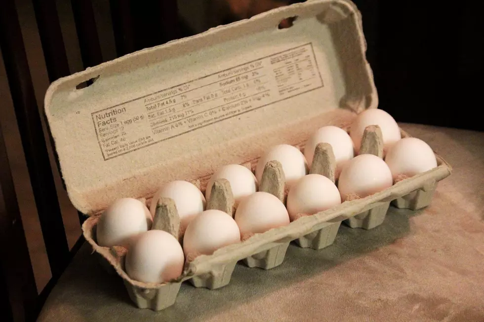 Switching to Oatmeal? Price of Eggs in Alabama Keeps Climbing