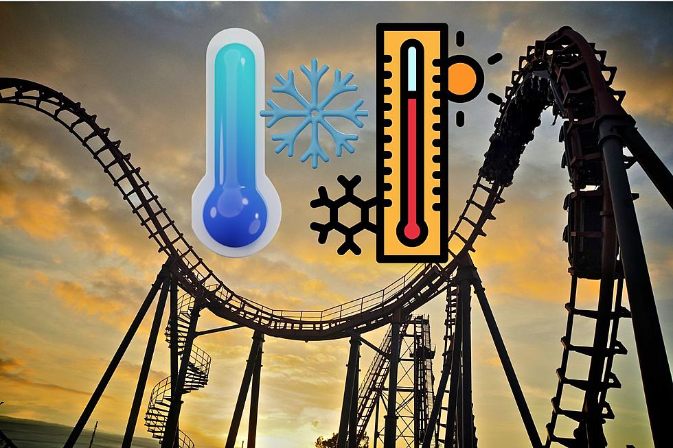 Alabamians Get Ready for a Roller Coaster of Temperatures