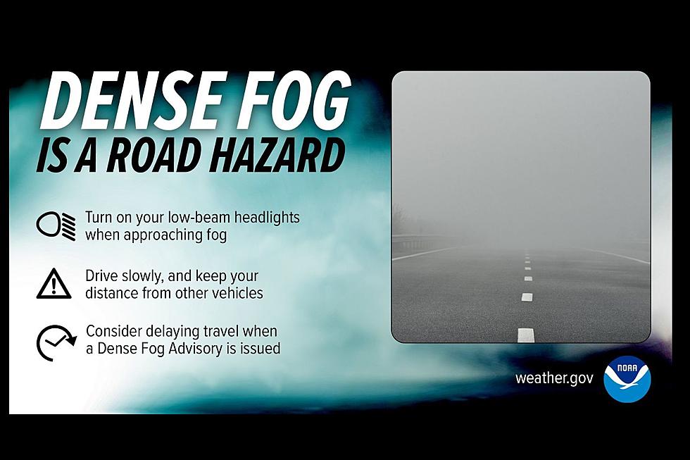 Probable Driving Hazard: Dense Fog Advisory Issued for Parts of AL