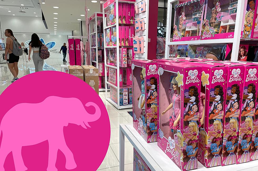 Barbie Mania Turns Tuscaloosa Pink