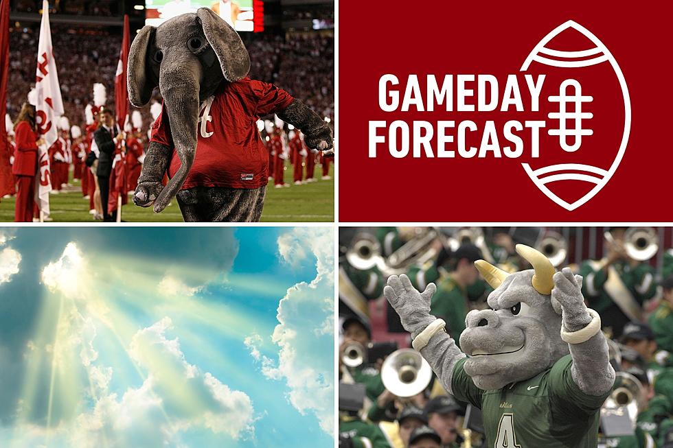 Touchdowns and Temps: Tampa Weather Guide for Alabama Fans