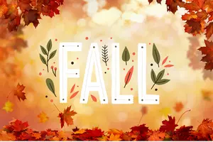 Here's What Fall Could Bring to Alabama This Year