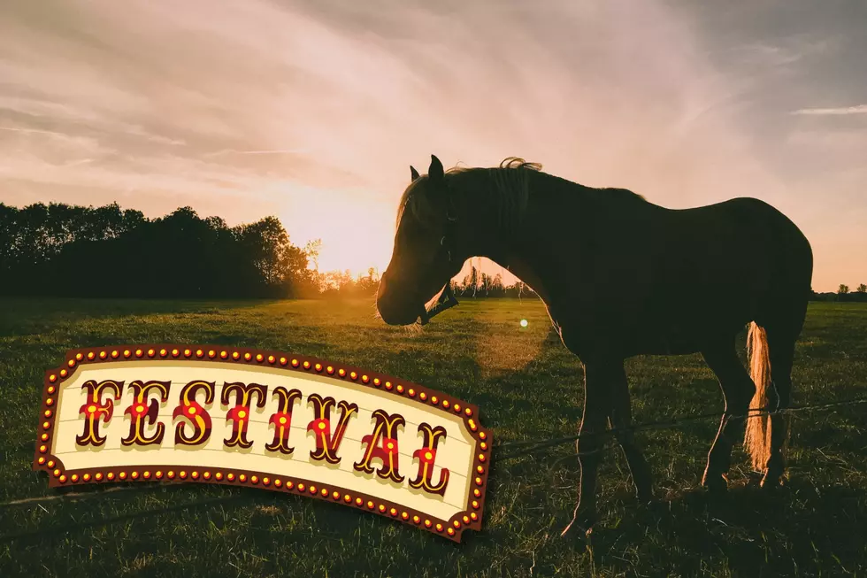 Back Forty Farm Fest Returns to Gordo for Second Annual Event