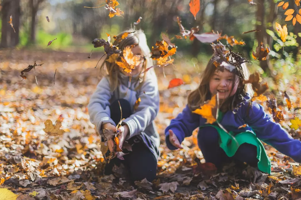 When to See Peak Fall Colors Across Alabama in 2026