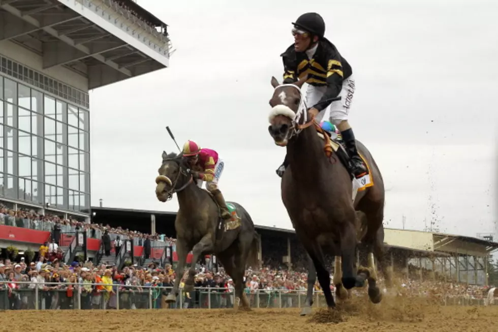 2 Horses Die Ahead of Preakness