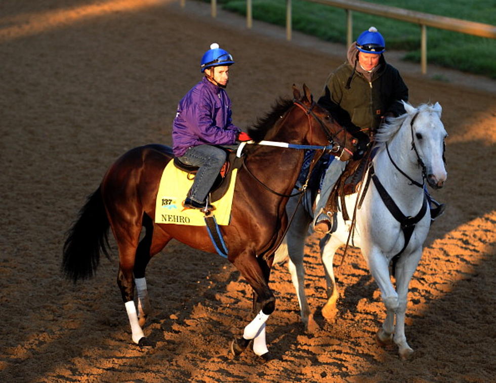 2011 Kentucky Derby Runner-up Nehro Dies of Colic