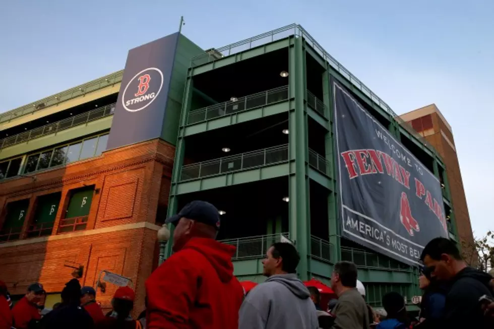 Woman Hit by Foul Ball behind Home Plate Sues Red Sox Owner