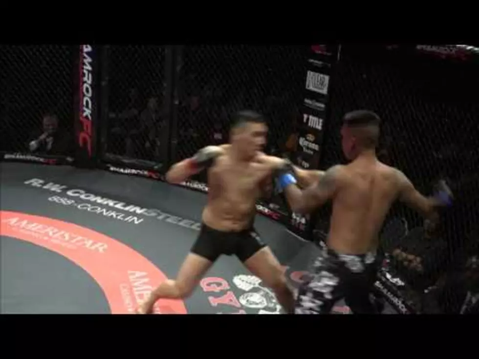 Watch This Amazing MMA Double Knockout Video