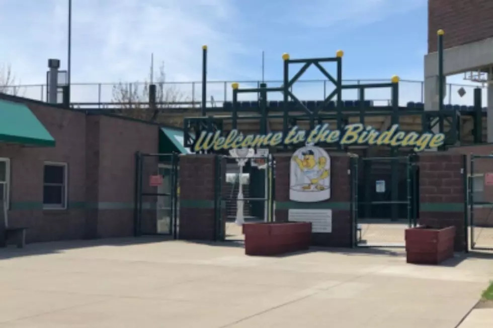 Full List of American Association Baseball Games You Can Watch at the Birdcage This Season