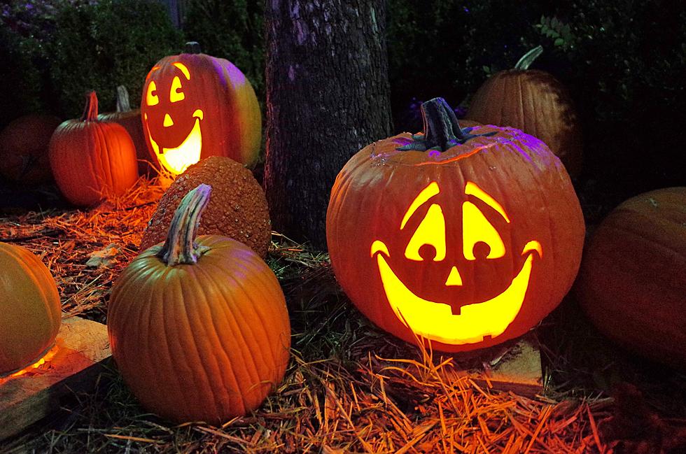 Why You Shouldn’t Toss Your Jack-O’-Lanterns in the Trash