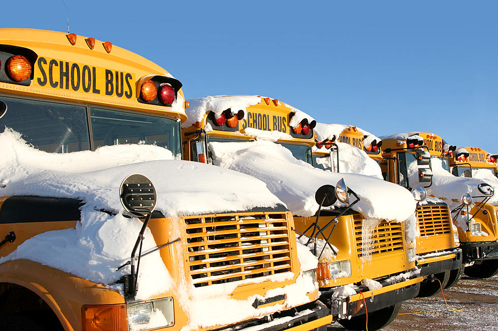 Winter Storm Causing School Delays and Closings