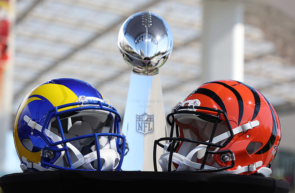 Pick a Side: Your Guide to Choosing a Rooting Interest in Sunday’s Big Game