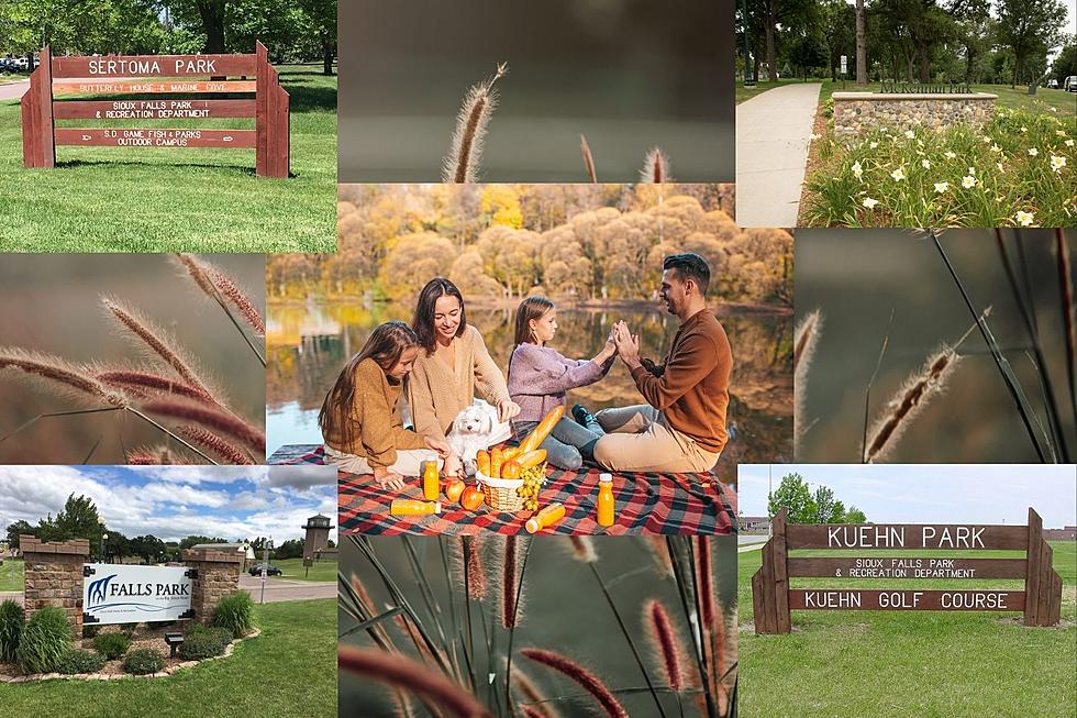 What Are You Waiting For? Reserve A Sioux Falls Picnic Shelter Now