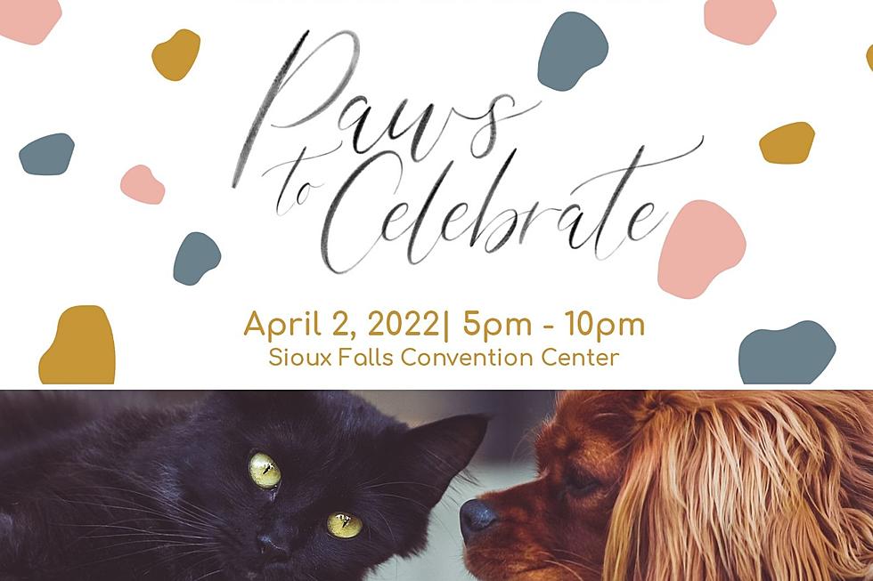 Sioux Falls Humane Society PAWS To Celebrate Animals Forever Homes