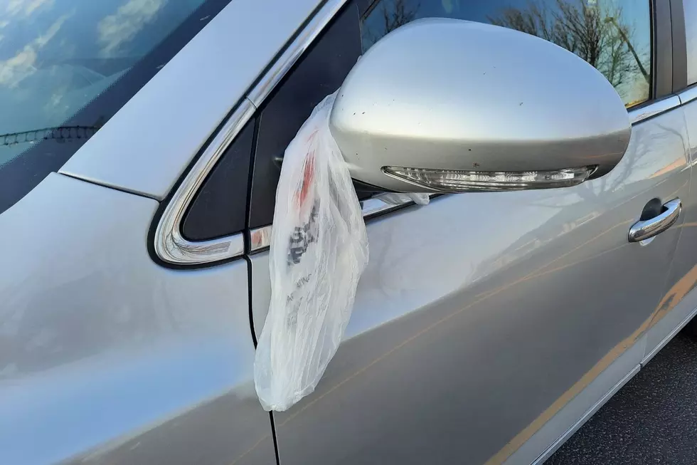 Hey South Dakota, Do You Have A White Plastic Bag In Your Car?