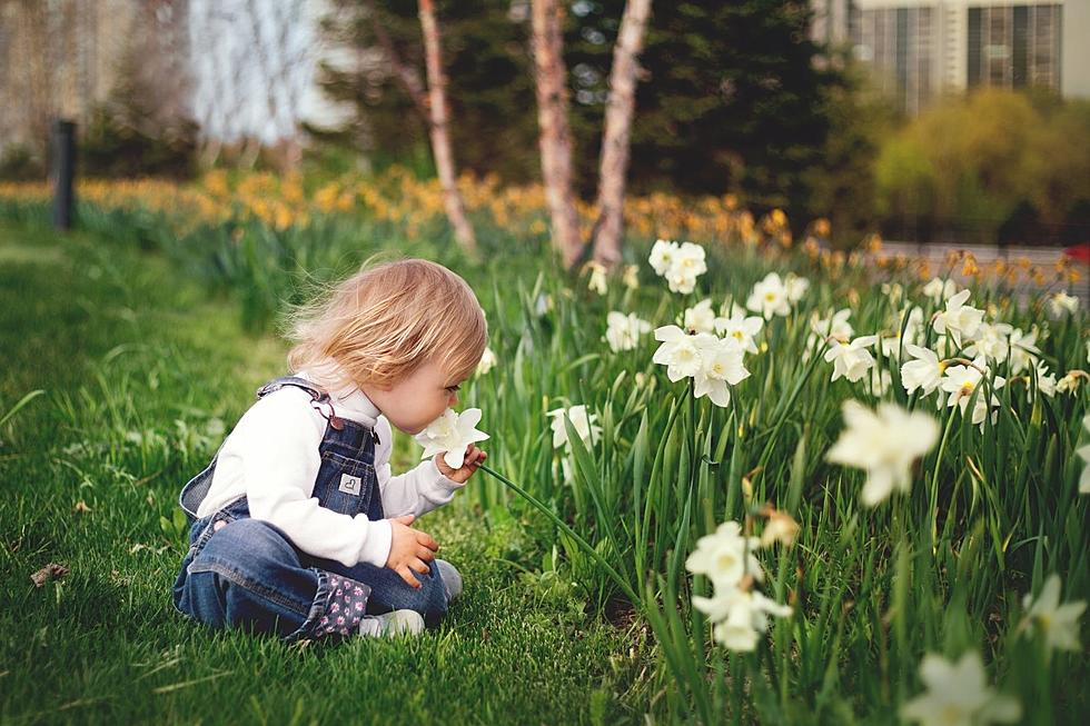 South Dakota Tied For Best Smelling State in U.S.