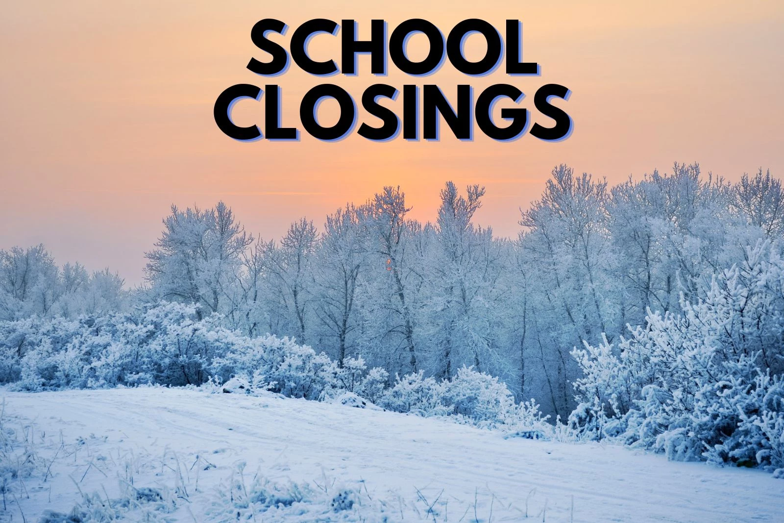 school closed snow