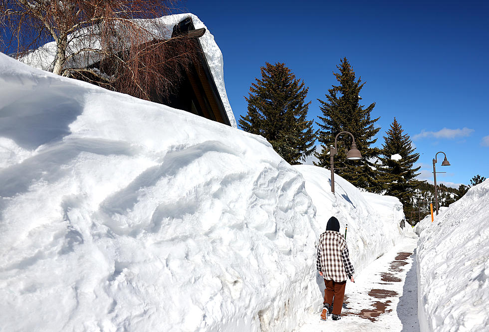 WOW! Severe Storm Drops 15 Feet Of Snow In National Park [PICTURES]