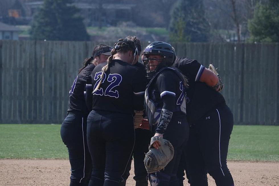 USF Cougars Softball Gets Road Sweep Against Wayne State
