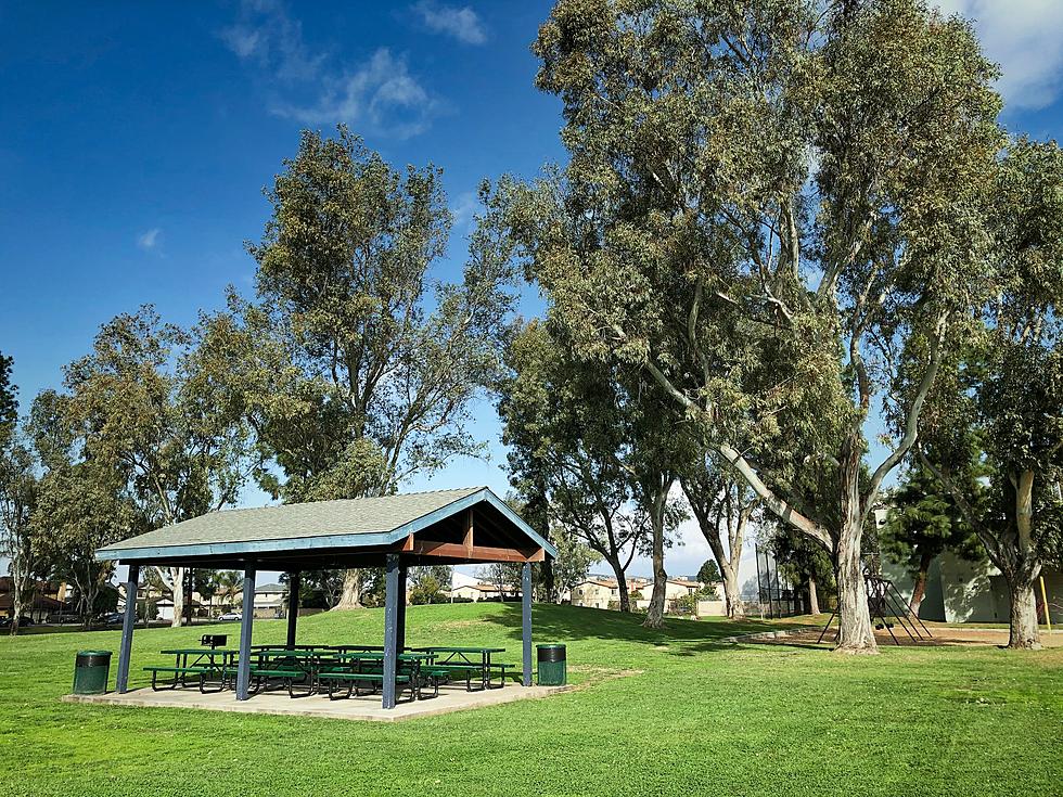 What Are You Waiting For? Reserve A Sioux Falls Picnic Shelter Now