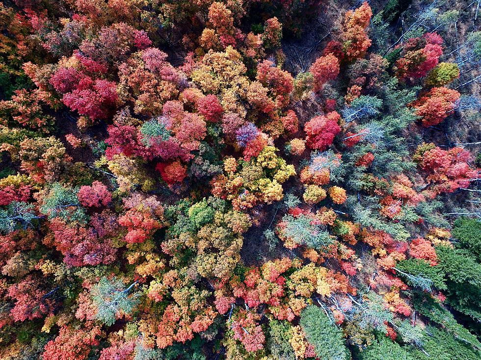 USA Today: South Dakota Town Among Best to See Great Fall Foliage