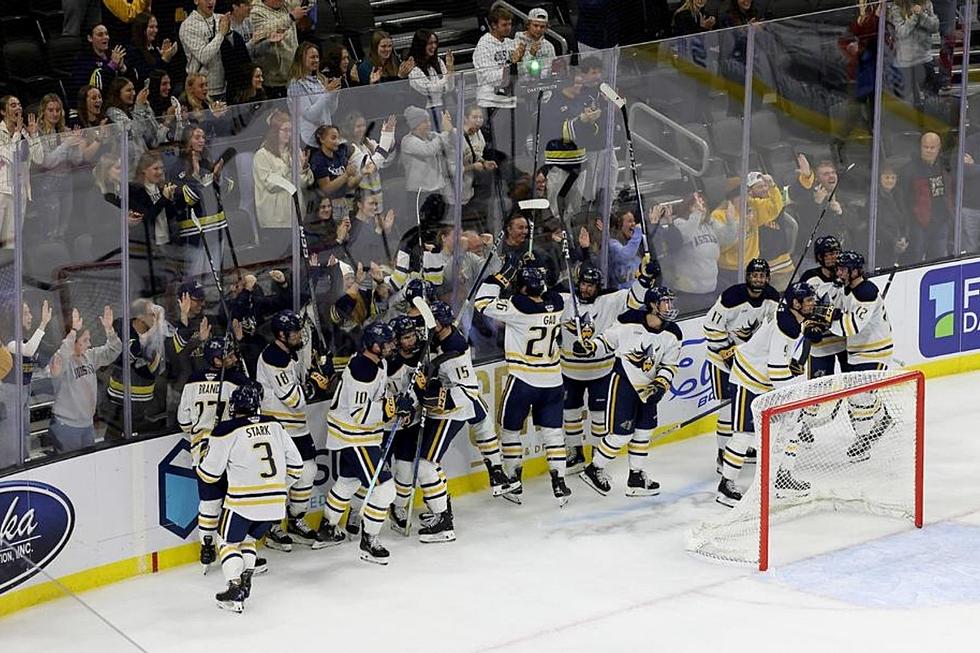 Augustana picks up small-college newcomer of the year - The Rink Live   Comprehensive coverage of youth, junior, high school and college hockey