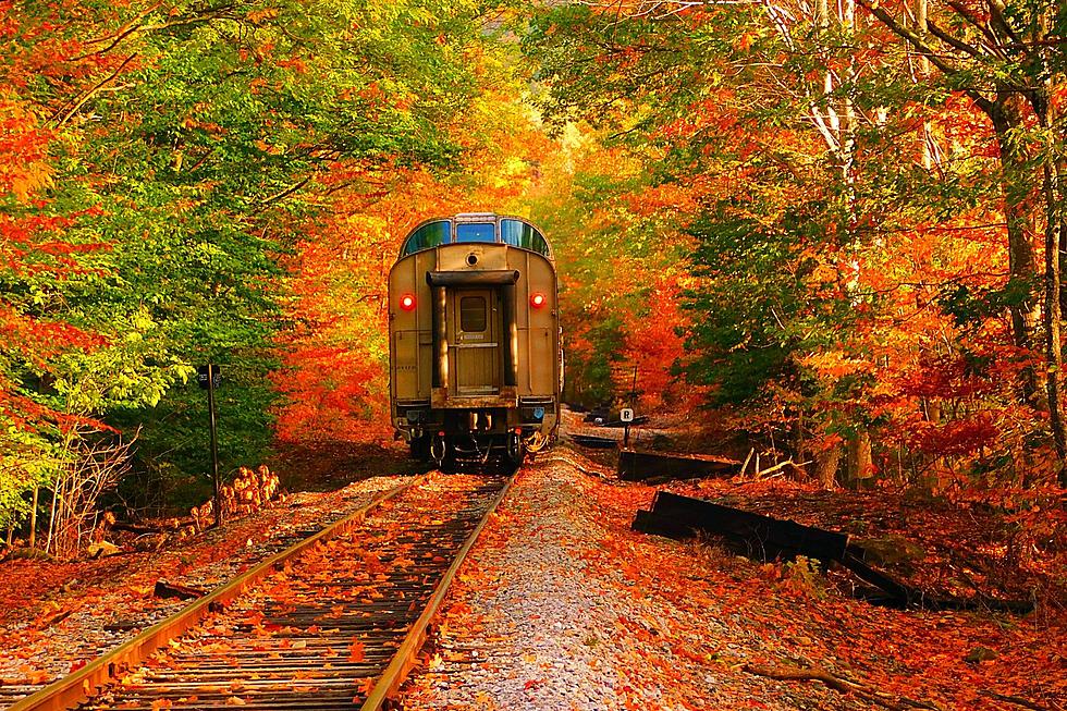 Spectacular Minnesota Fall Color Train Tours