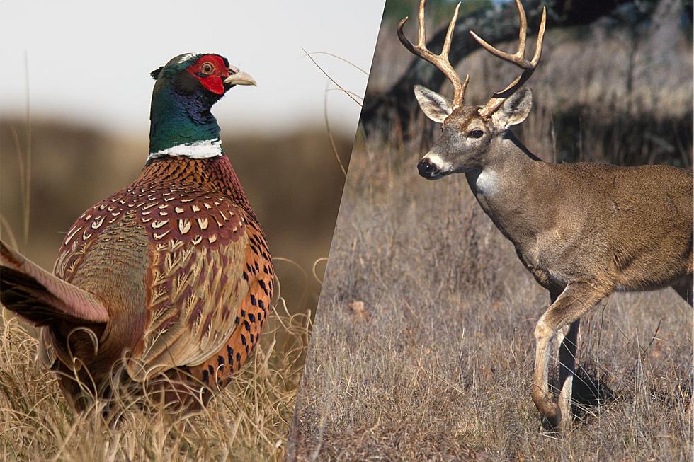 How To Shape Up For A South Dakota Hunting Season