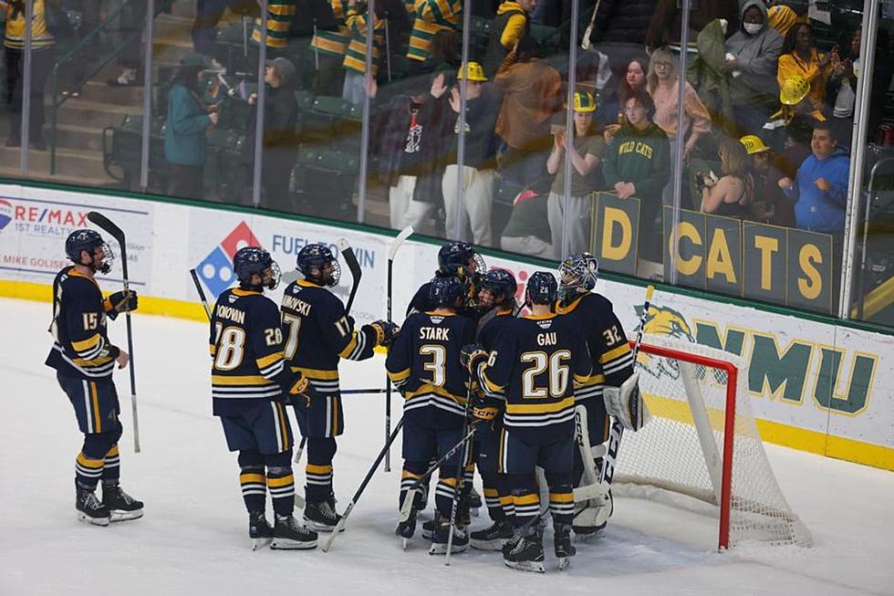 Augustana Viking Hockey Cages Wildcats For Win