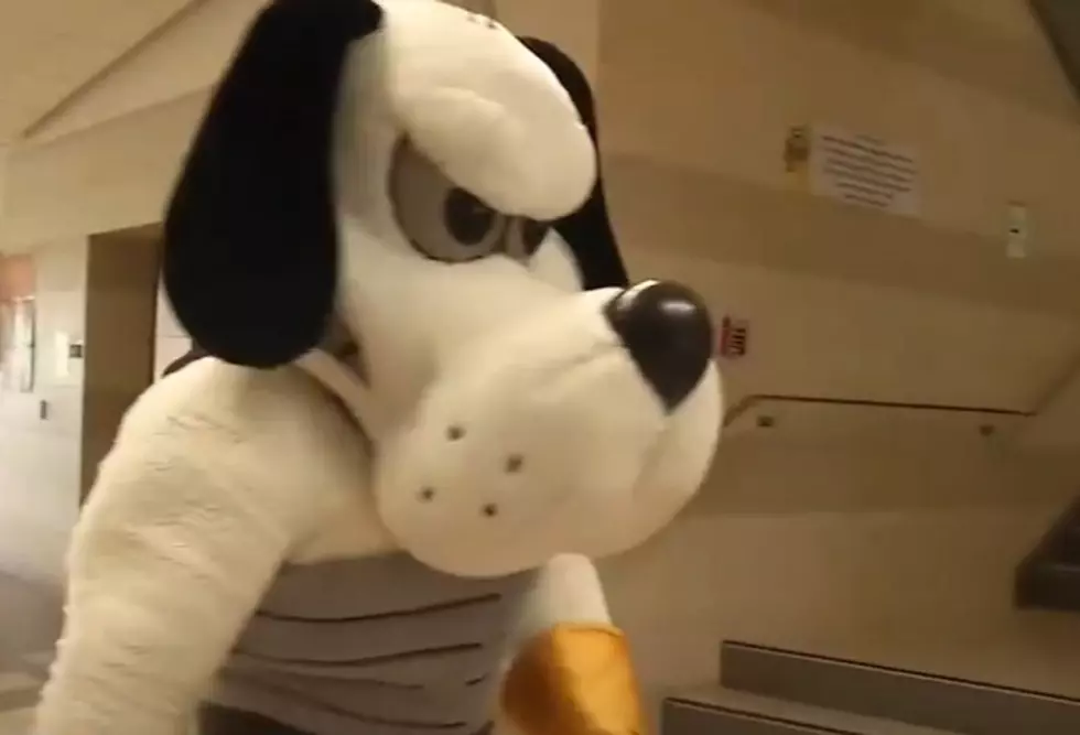 Sports Illustrated Declares Iowa High School Mascot ‘Best in Country’