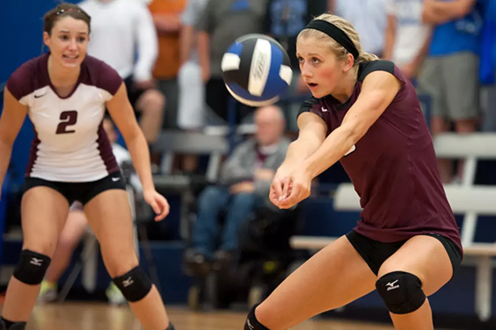 TSWA All-State Volleyball Team