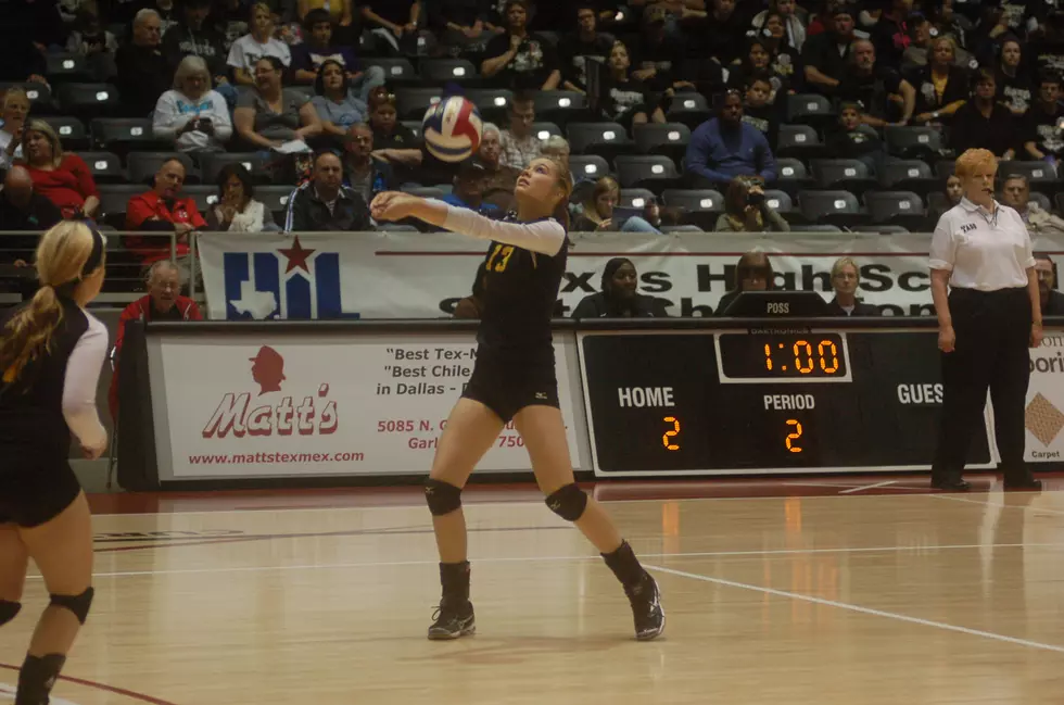 Cayuga Ousted By Round Top-Carmine in Volleyball State Semifinals