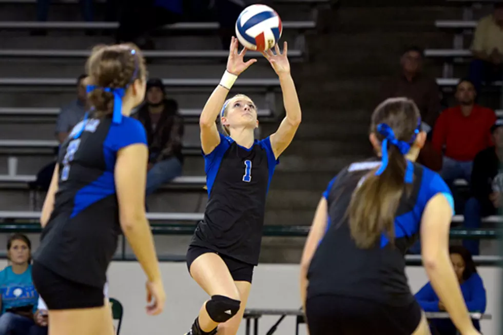 Friday Volleyball Roundup: Whitehouse Continues District Roll + Lindale, Eustace Win Matches