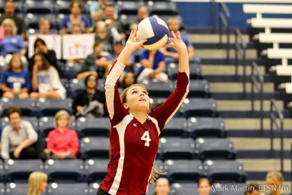 Tuesday Volleyball Roundup: Whitehouse Secures Third In District 17-5A + More Teams Complete Perfect District Seasons
