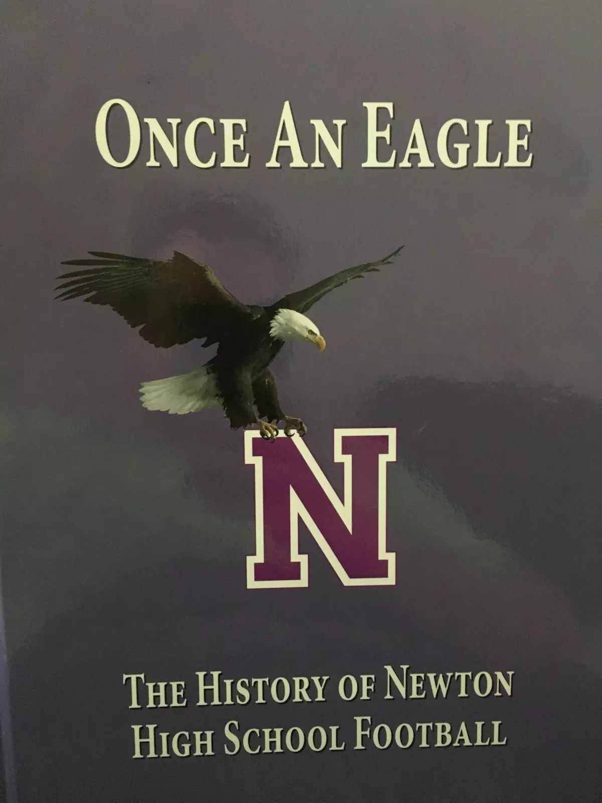 once an eagle book