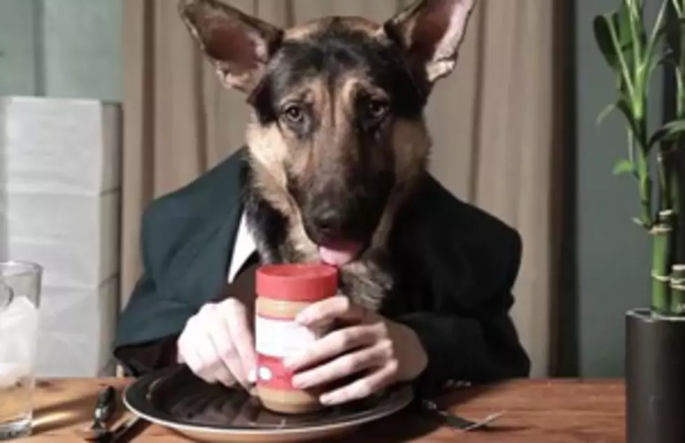 A Dog Eating Like A Human [VIDEO]