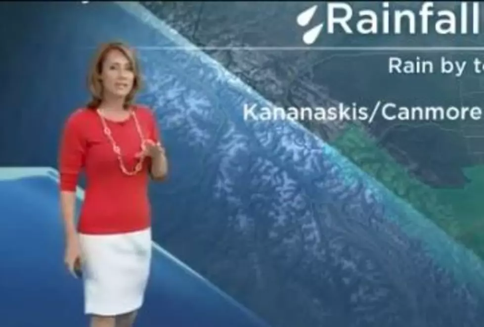 Spider Scares Meteorologist On Air [VIDEO]
