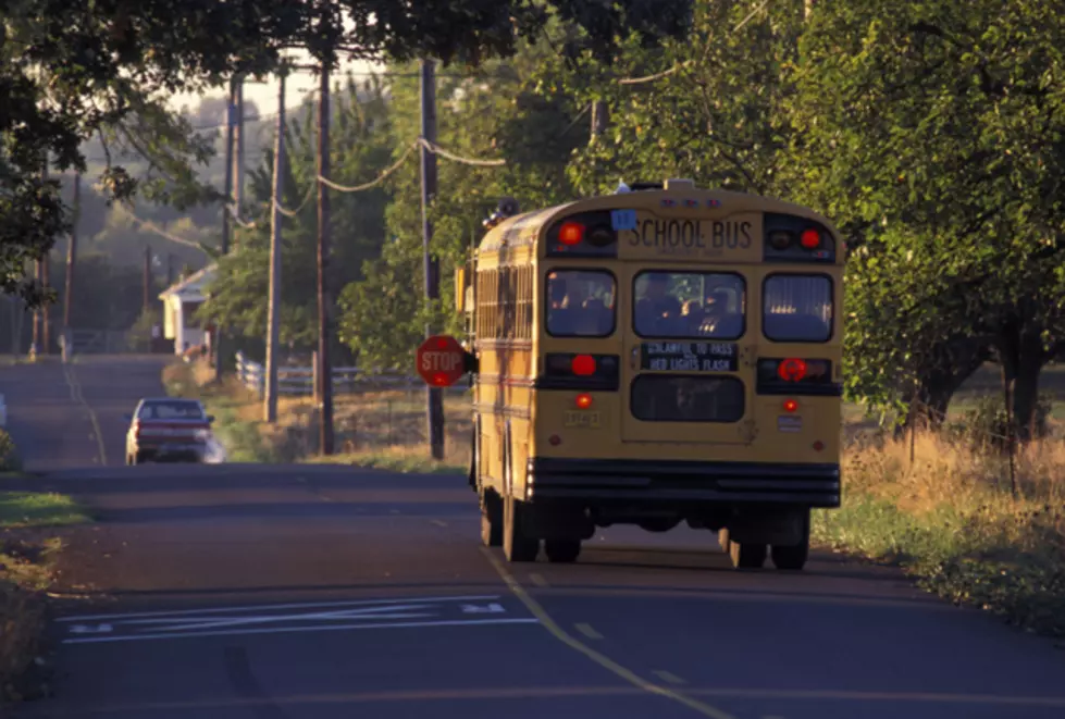 Car Hits School Bus