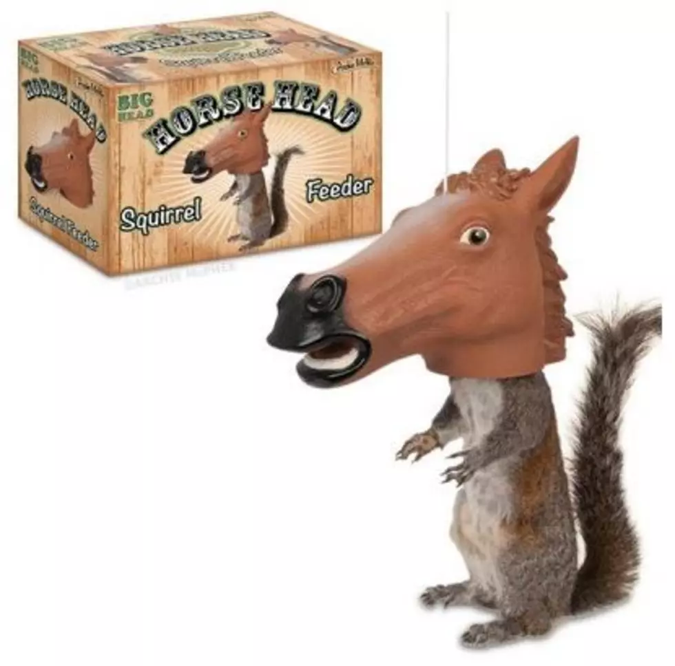 Horse Head Feeder For Squirrels [VIDEO]