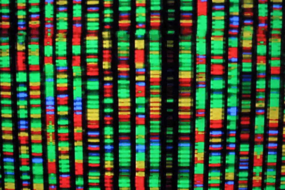 MIT Scientists Sucessfully Edit Out Bad DNA and Cure Disease