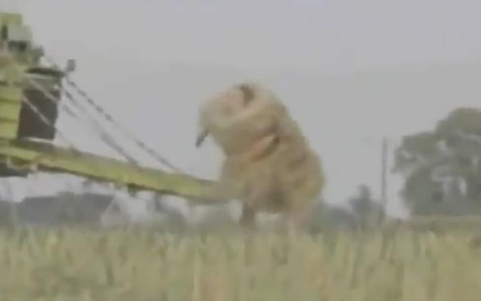 Farmer Goes Wacky And Bales Himself Up [VIDEO]