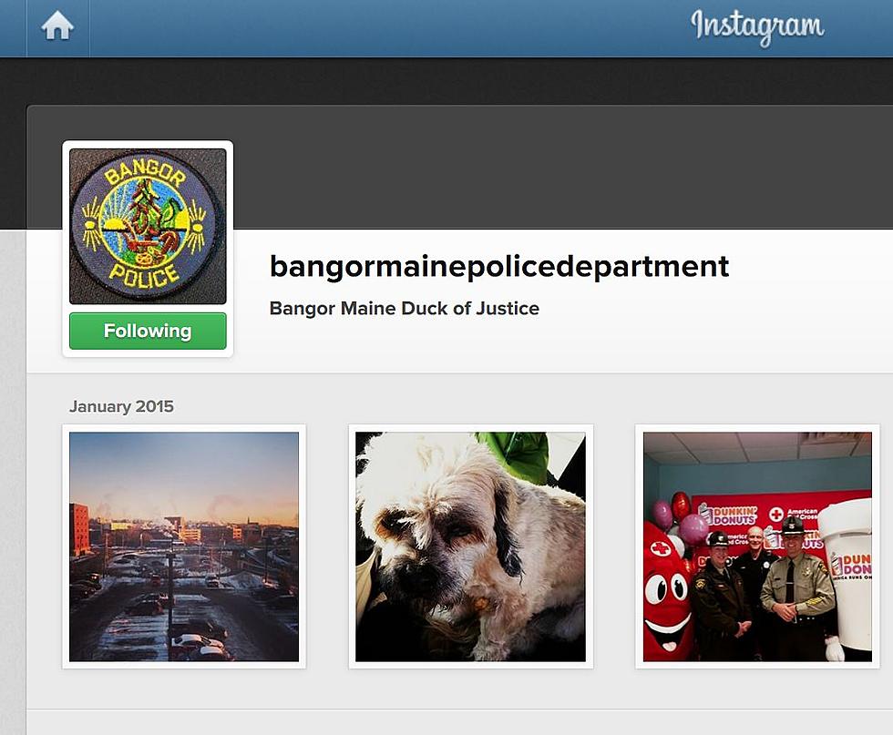 The Bangor PD Duck of Justice is on Instagram