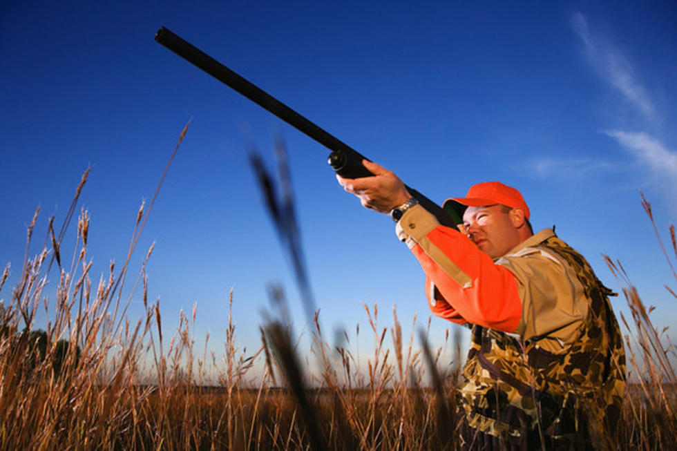 Maine Bill Would Allow Hunters To Wear Pink Instead Of Orange During October [POLL]