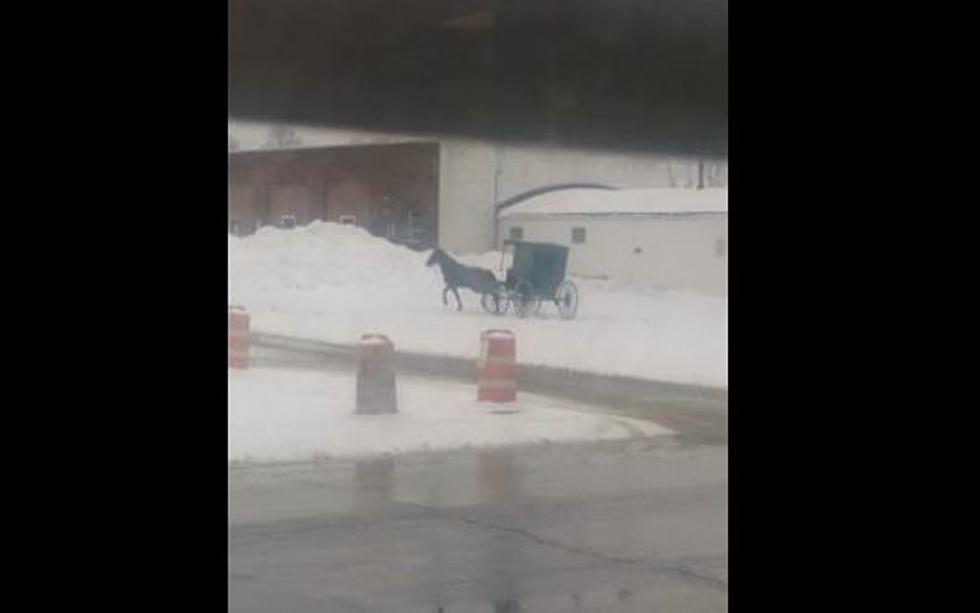 Amish Horse Buggy Doing Donuts In The Snow [VIDEO]
