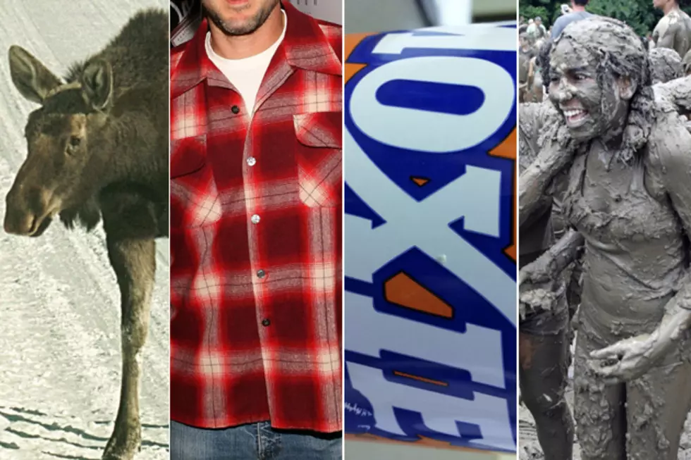 Mud, Moxie + Other Words That Have Entirely Different Meanings in Maine