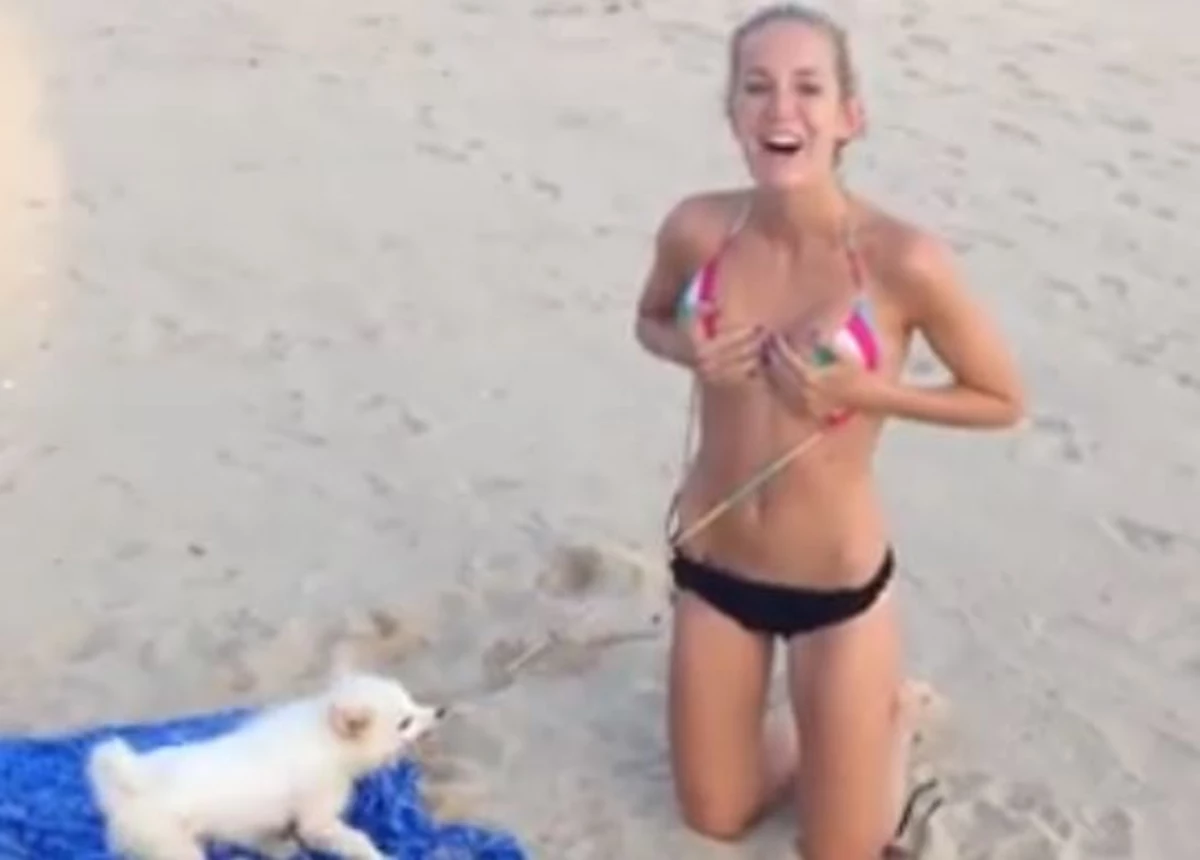 This Dog Is Not Necessarily Girl's Best Friend [VIDEO]